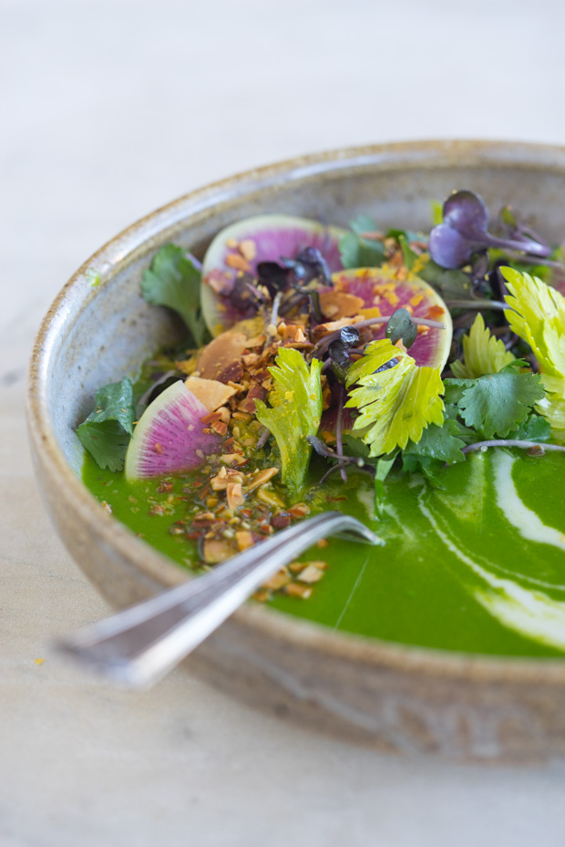 Ten Ingredient Alkalizing Green Soup