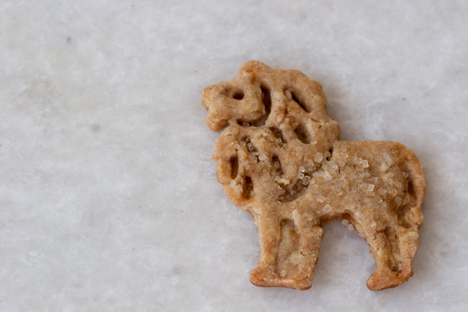 Animal Cracker Cookies