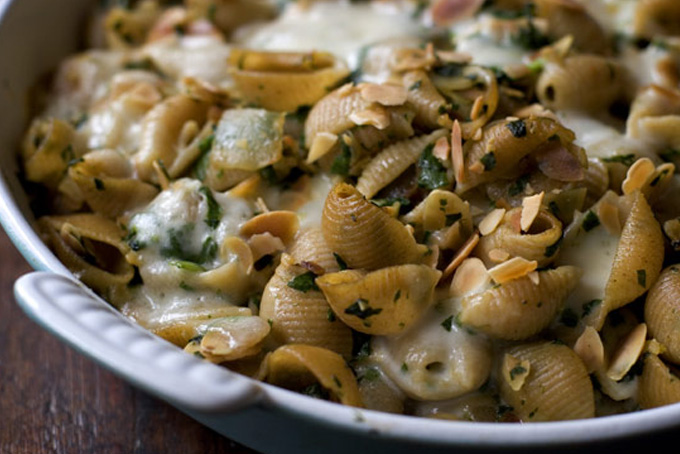 Pasta shell recipes