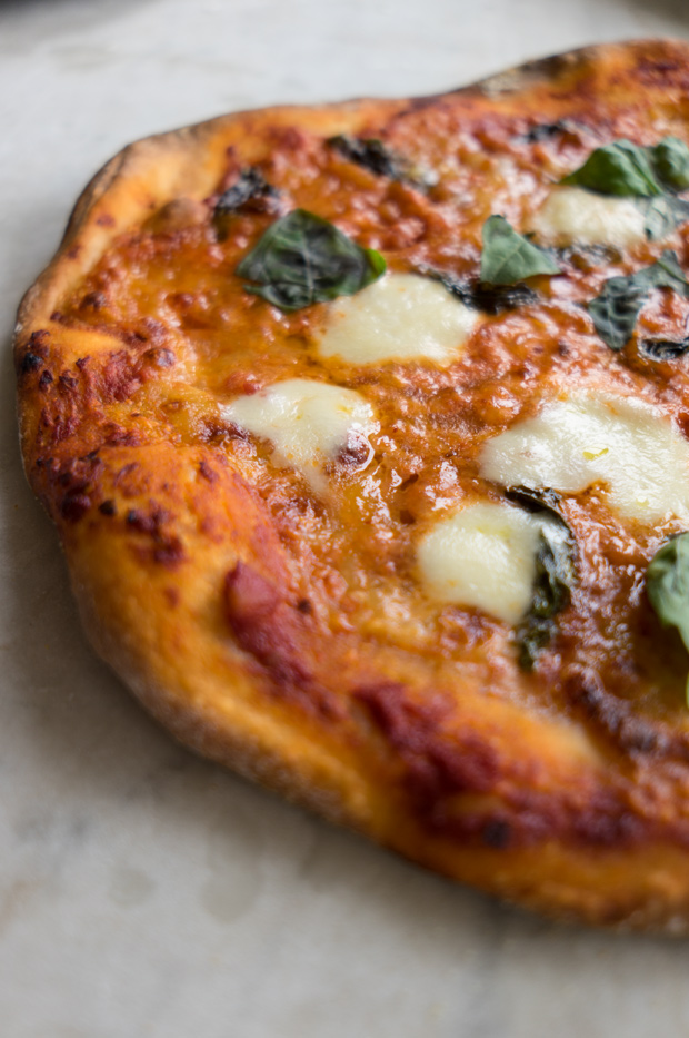 Best Pizza Dough Ever Recipe - 101 Cookbooks