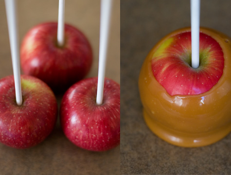 Aplle on Caramel Apples Recipe   101 Cookbooks