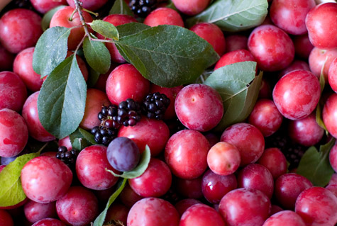 Cherry Cobbler Recipe