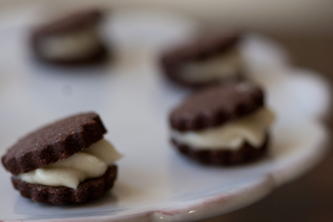 Chocolate christmas cookie recipes