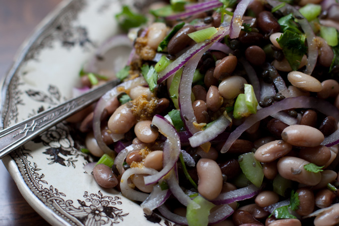 Dried bean salad recipes