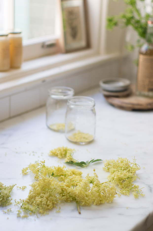 Elderflower Coriander Vodka