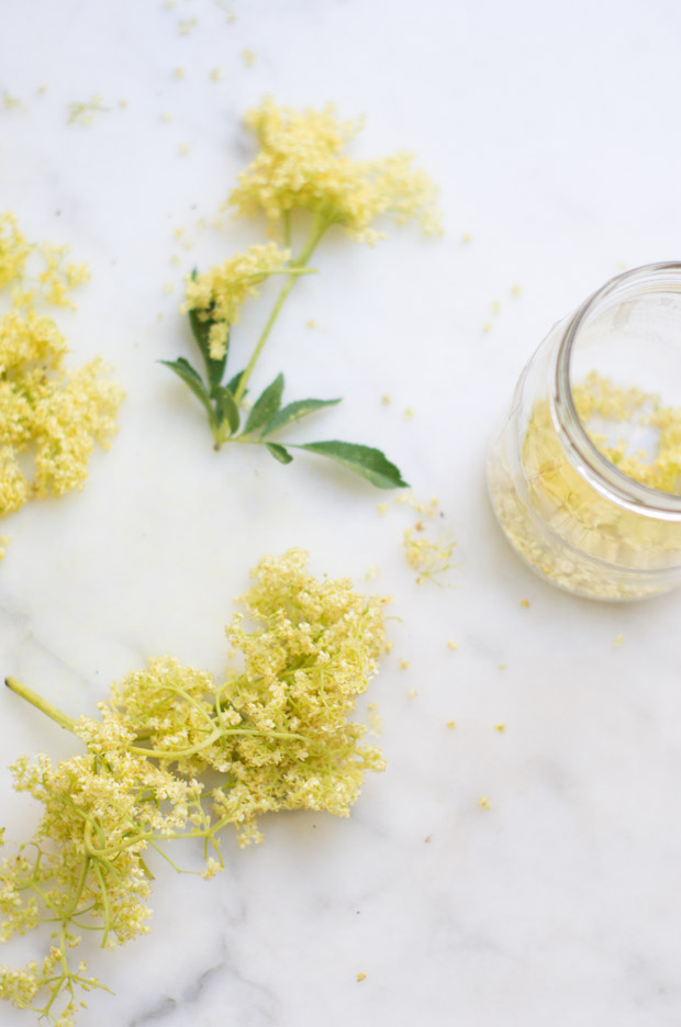 Elderflower Coriander Vodka