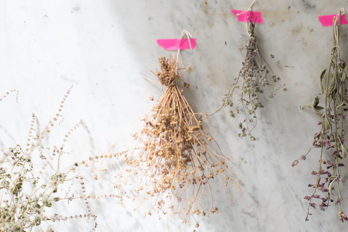 How can you dry herbs at home?