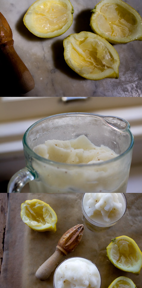 Lemon Anise Slushy Recipe