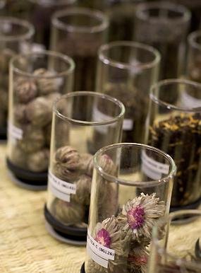 Best of Show: Winter Fancy Food 06