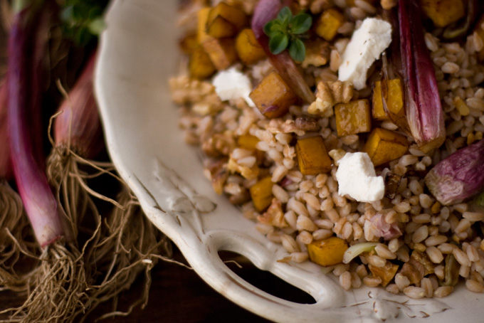 A Few Favorite Grains