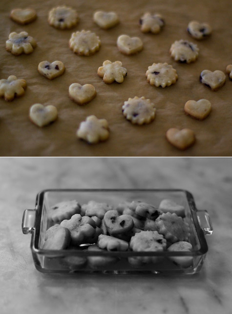 Olive Biscuit Cookies