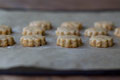 Apple and Carrot Shortbread