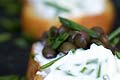 Beluga Lentil Crostini