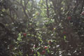 Favorites List (8.10.12)