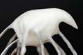 How to Whisk Egg Whites