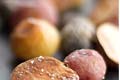 Salt-crusted Baby Potatoes