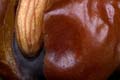 Dates filled with Chocolate Cream and Almonds