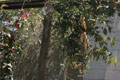Favorites List (Summer 2010)