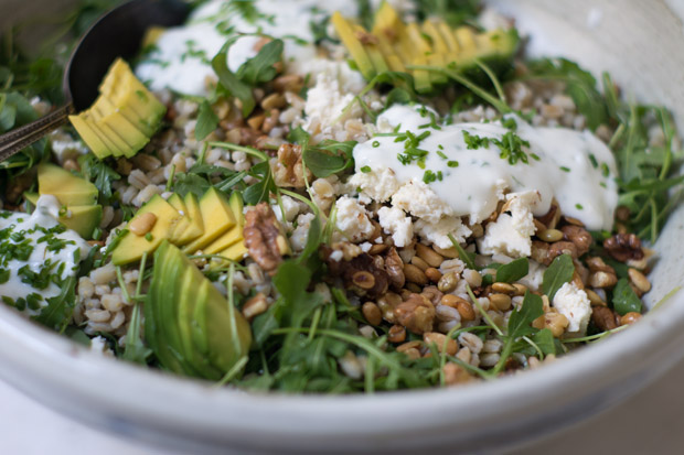 California Barley Bowl