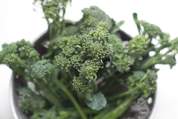 Broccolini Salad Recipe