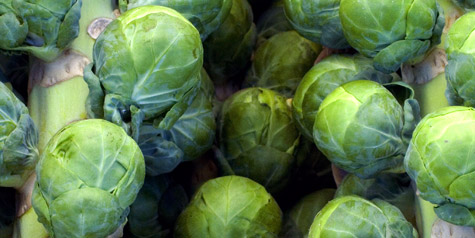 brussels sprouts recipe