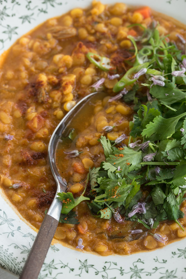 Coconut Red Lentil Soup