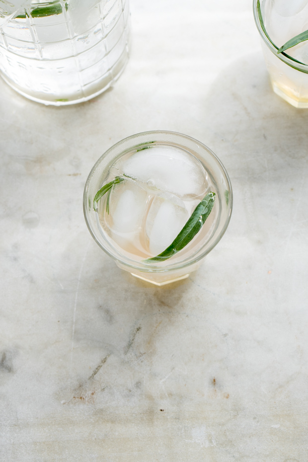 Homemade Tarragon Soda