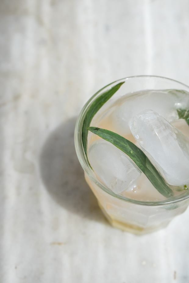 Homemade Tarragon Soda