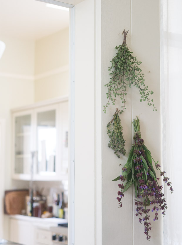 How to dry herbs