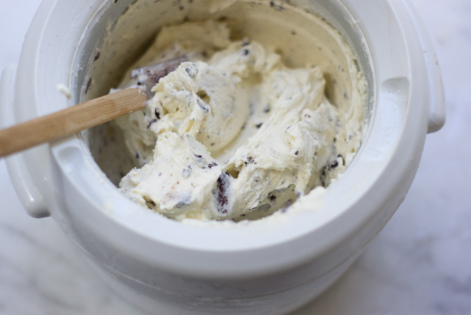 Fresh Mint Chip Frozen Yogurt