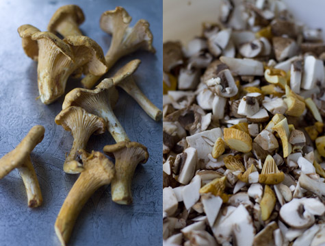 Mixed Mushroom Soup Recipe