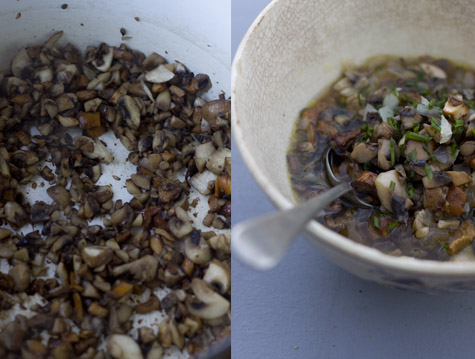 Mixed Mushroom Soup Recipe