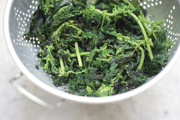 Nettle Pasta Recipe