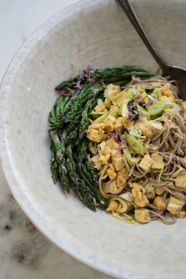 Peanut Noodle Salad Recipe