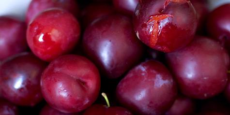 plum compote recipe