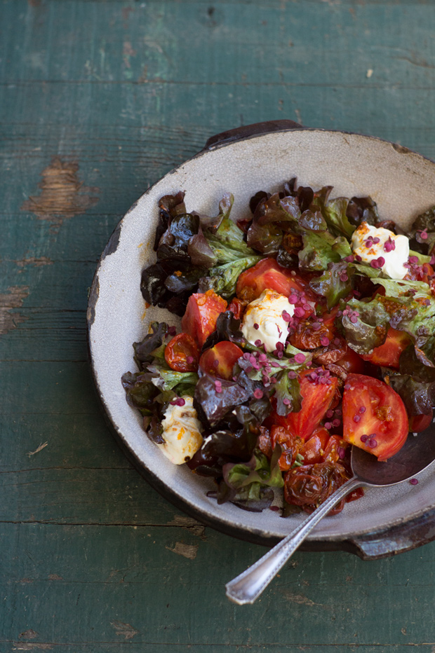 Roasted Tomato Salad