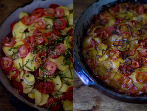 Tomato Gratin Recipe