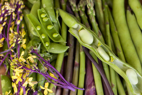 Spring Ragout Recipe