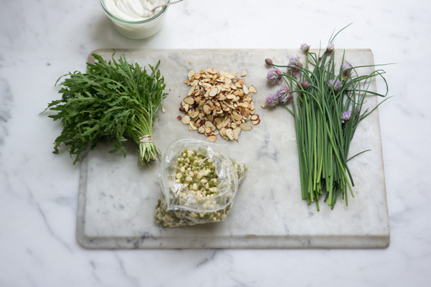 Sprout Salad Recipe