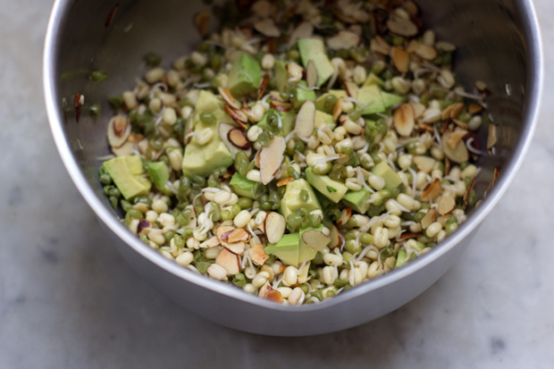 Sprout Salad Recipe