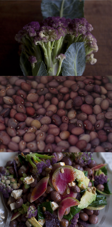 Tortilla Salad Recipe